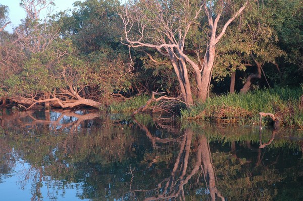 Reflections