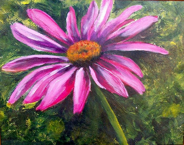 Cone Flower