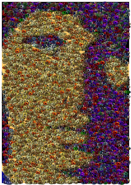 The Doors Jim Morrison mosaic made of eyeballs