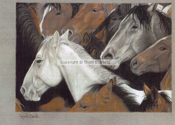 How Many Horses