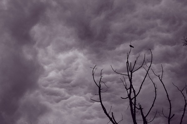 waiting...