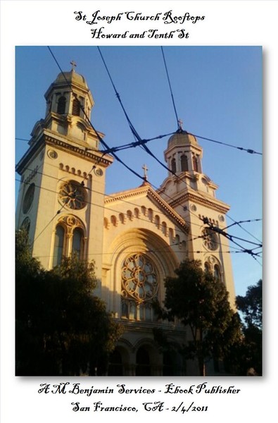 Church Domes behind Bus Wires