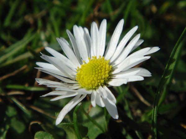 Spring