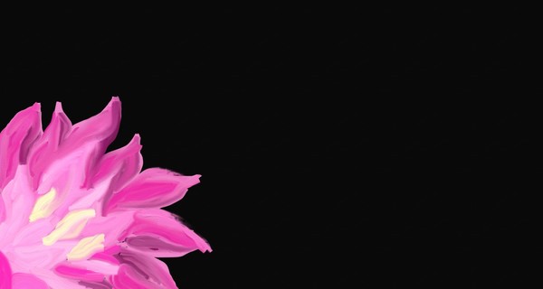 Pink Flower