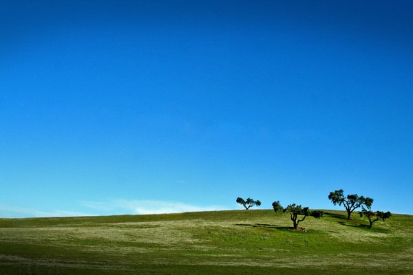 Alentejo 3