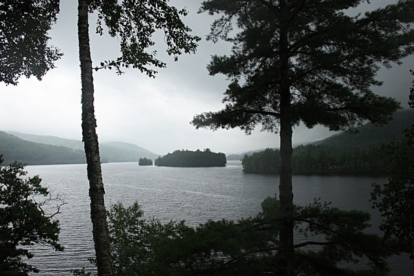 The View