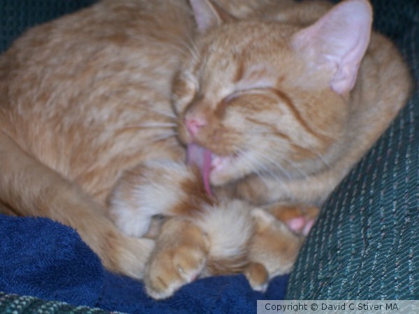 At the Cat Wash