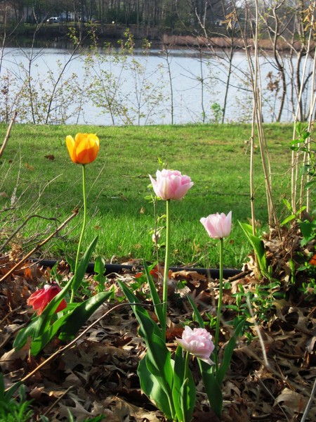 Spring has finally sprung