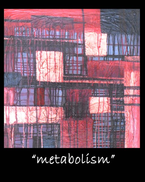metabolism