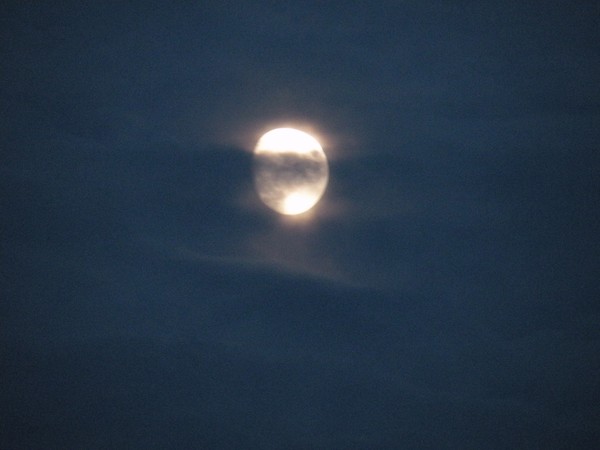Moon light