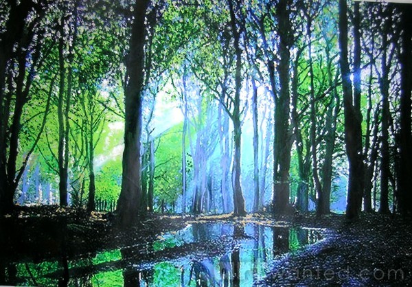 Bright lights in a dark wood