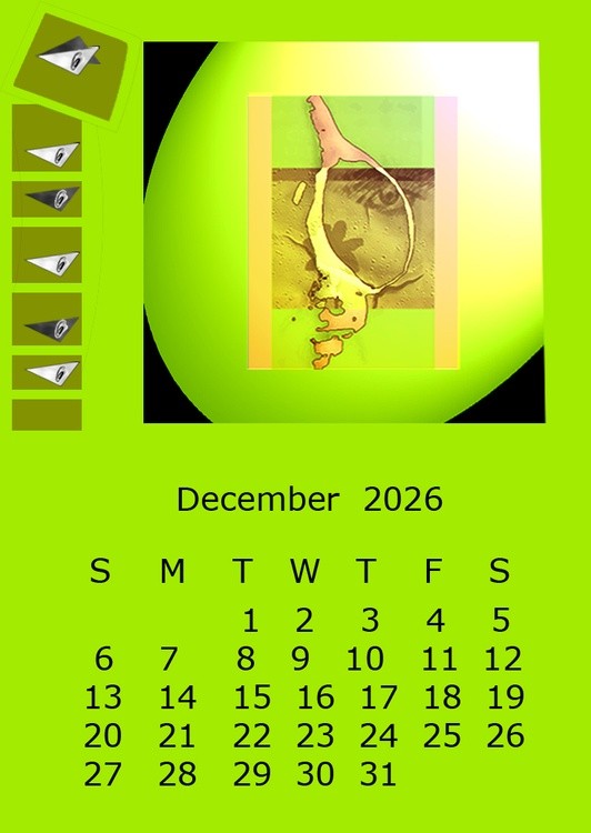 Calendar 2026