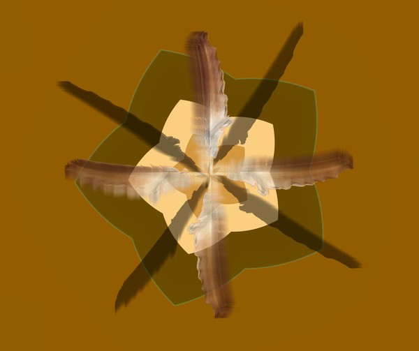 Four Winds Blow to Center