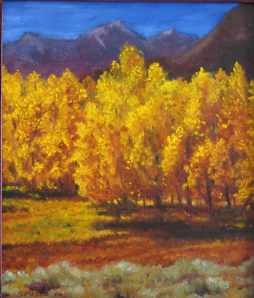 ASPENS 9 X 10 .5