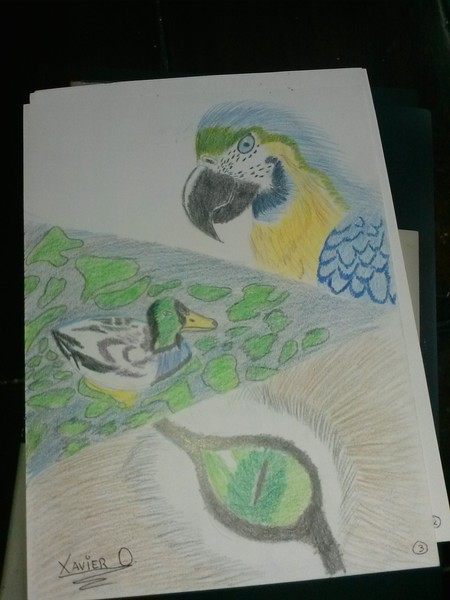 my favorite color pencil drawing