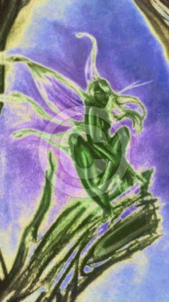 Sprite.