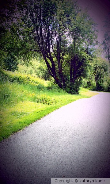 Soos Creek Trail