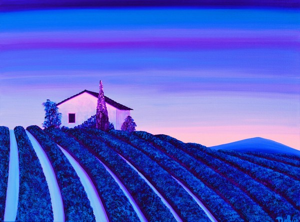 Lavender in purple and blue