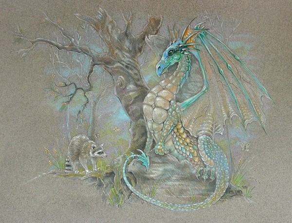 Dragon & the Raccoon