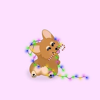 puppies (61)