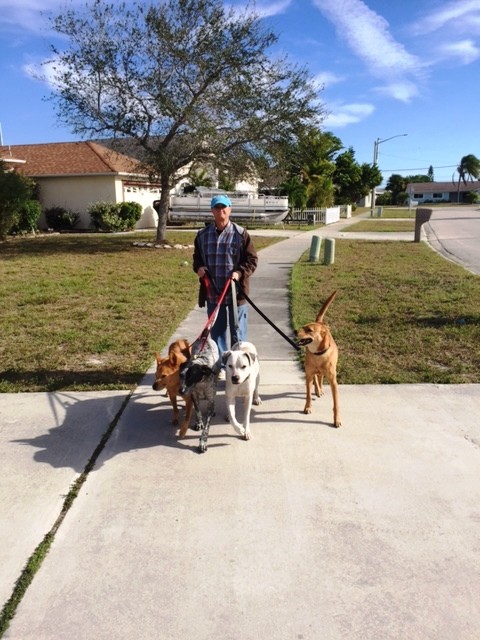 The Pack