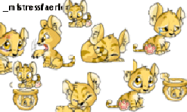 Baby Kougra Background