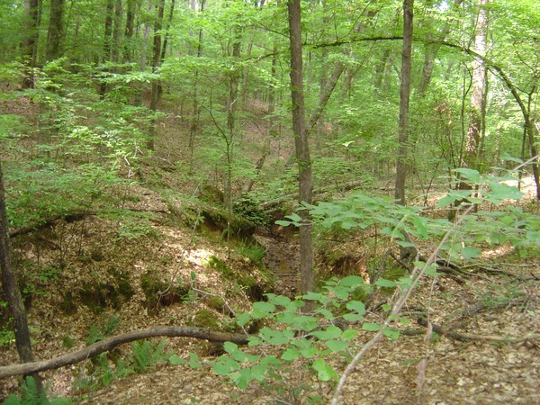 Overgrowth