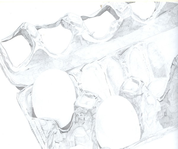 eggs in carton