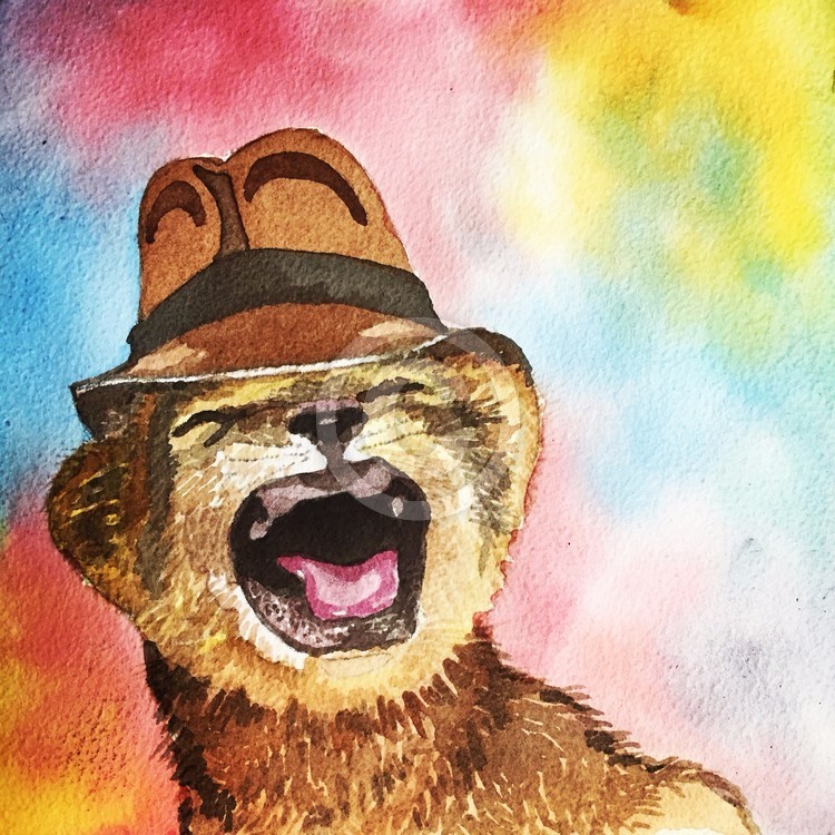 Cheetah in a Chapeau