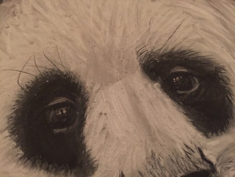My First drawing's