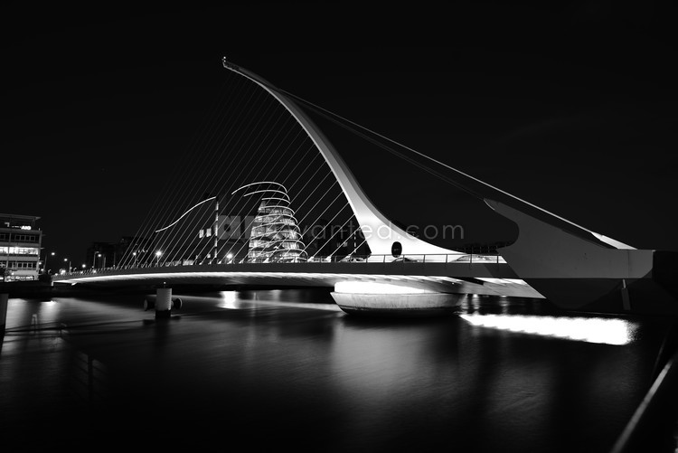 Samuel Beckett Bridge