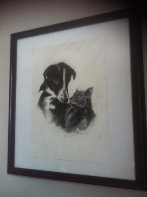 photo (12)2