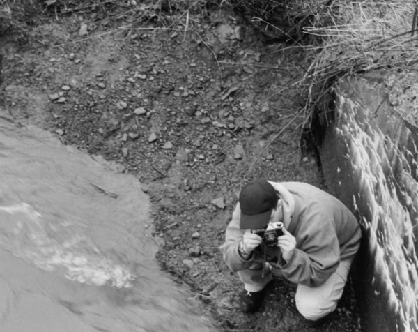 Photographer At Work