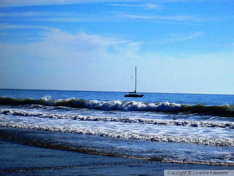 Sailing