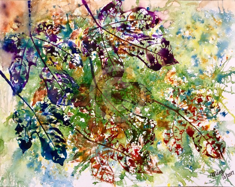 Fall leaves