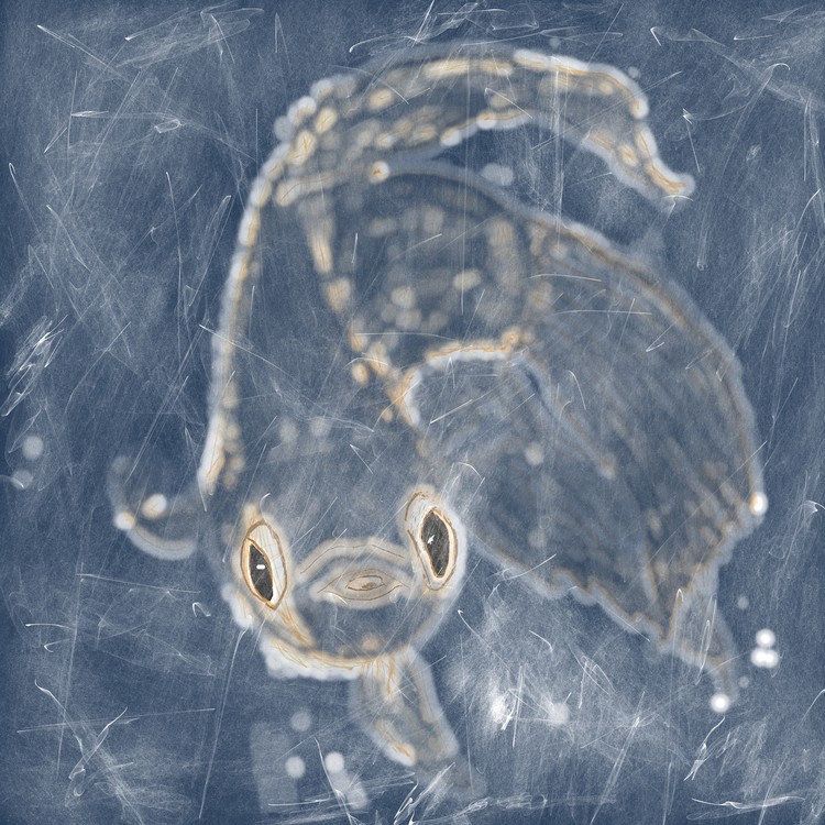 Trapped in ice