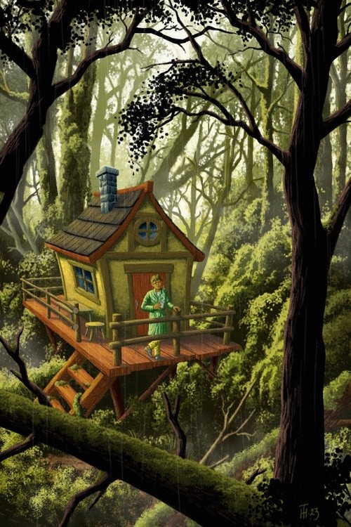 Morning Coffee in the Ancient Forest