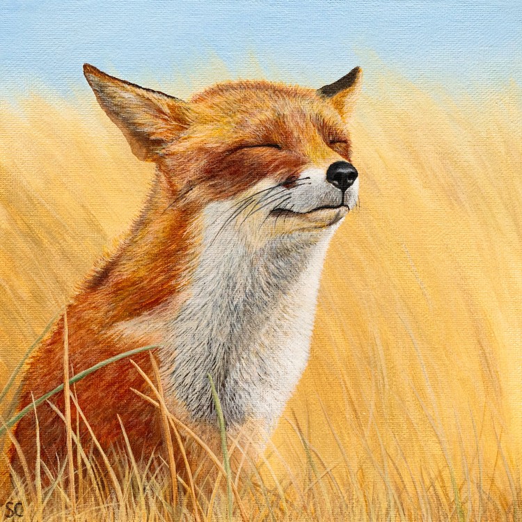 Fox