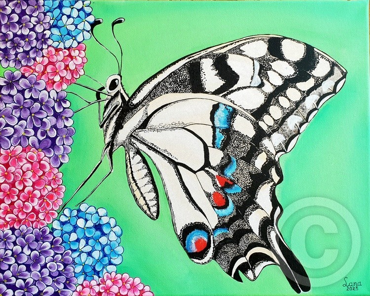 Butterfly