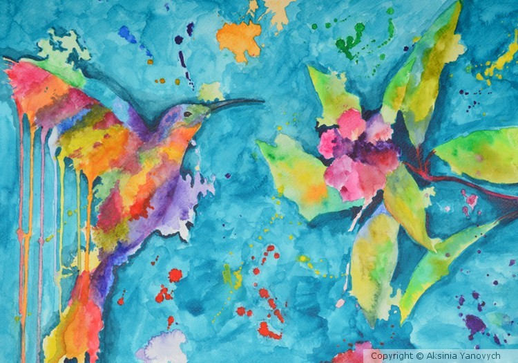 Colibri