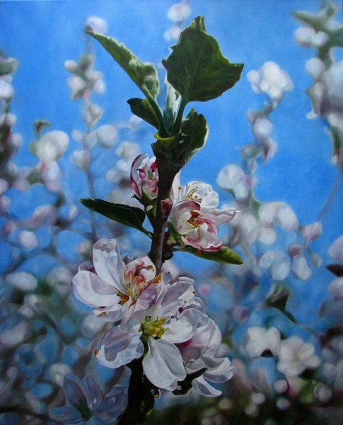 Spring