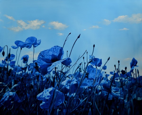 Blue puppies II.