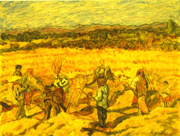 Rice Harvest