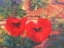 Oriental Poppies