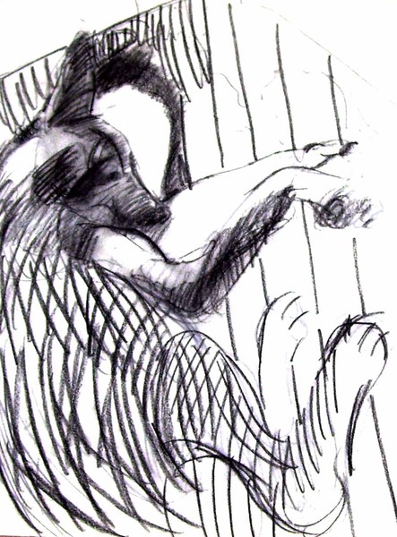 reclining dawg