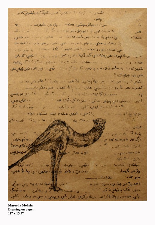 Image 10