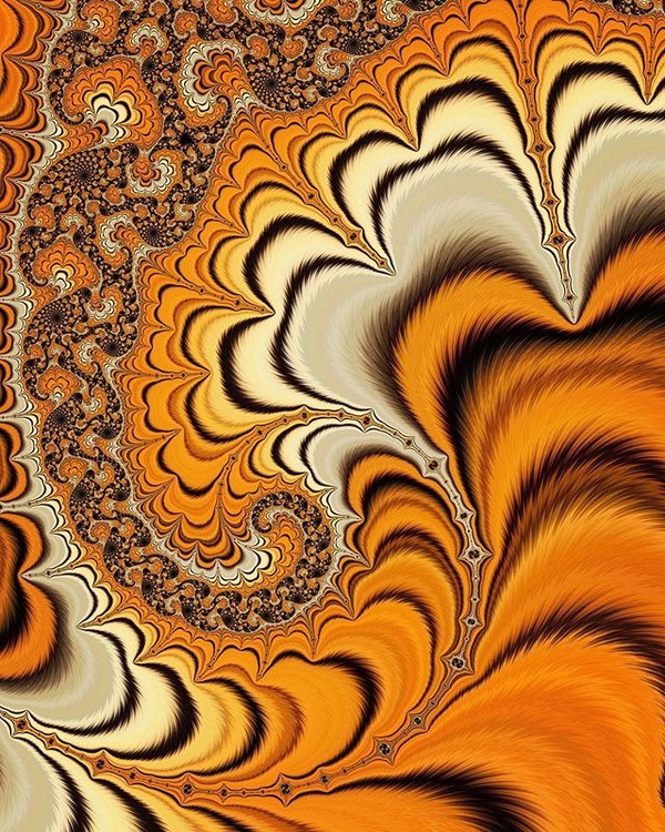 ?? Tiger ??

#digitalart #graphicdesign #mandelbrot #fractals #tiger #carpet #wallpapers
Checkout