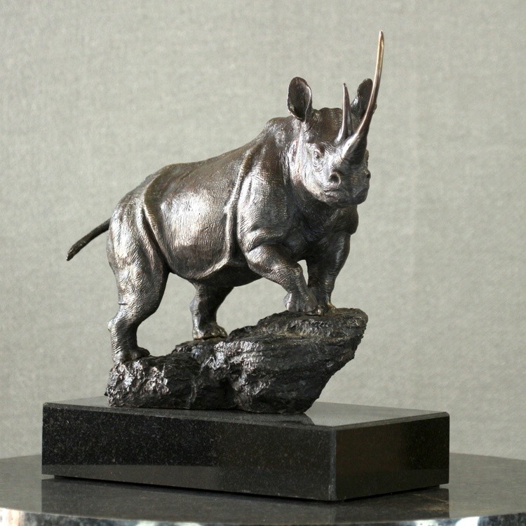 Waiwai The Black Rhino