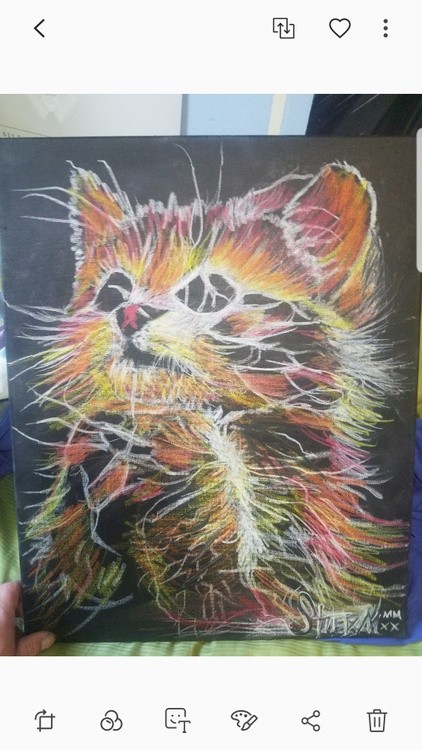 KITTY praying