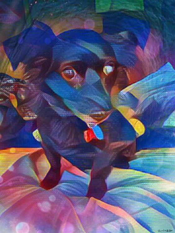 Road Dog Sam